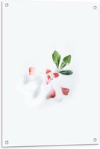 Tuinposter – Roze Bloemetje op Witte Achtergrond - 60x90cm Foto op Tuinposter  (wanddecoratie voor buiten en binnen)