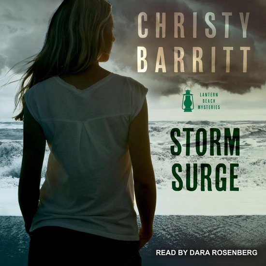 Storm Surge - cover