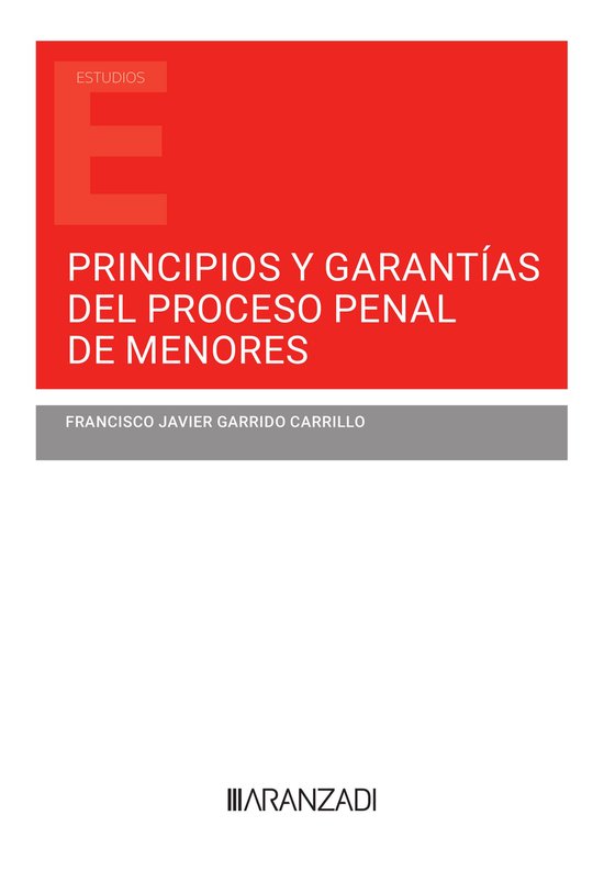 Principios y garantías del proceso penal de menores - cover