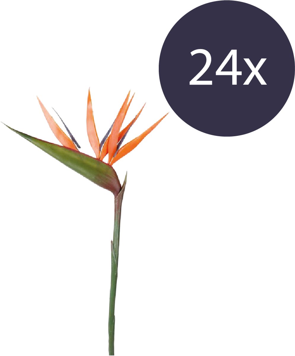 Emerald Kunstbloem Paradijsvogelbloem 90cm oranje - Set van 24 - Kunstplant voor binnen