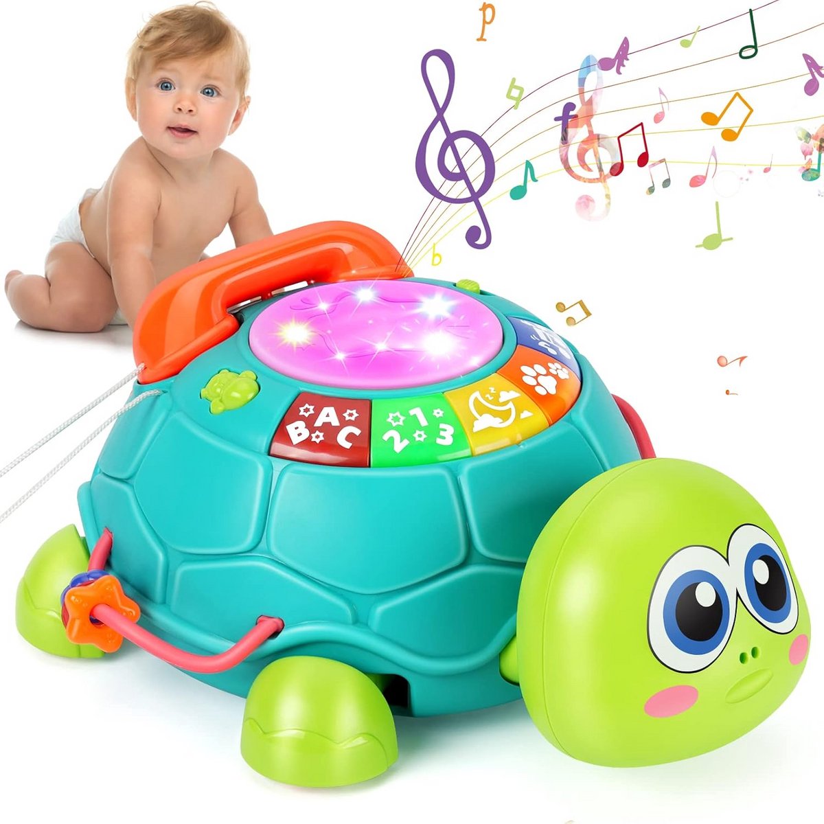 Muzikaal Kruipspeelgoed Schildpad voor Baby's 6-12 Maanden - Ontwikkeling & Activiteit