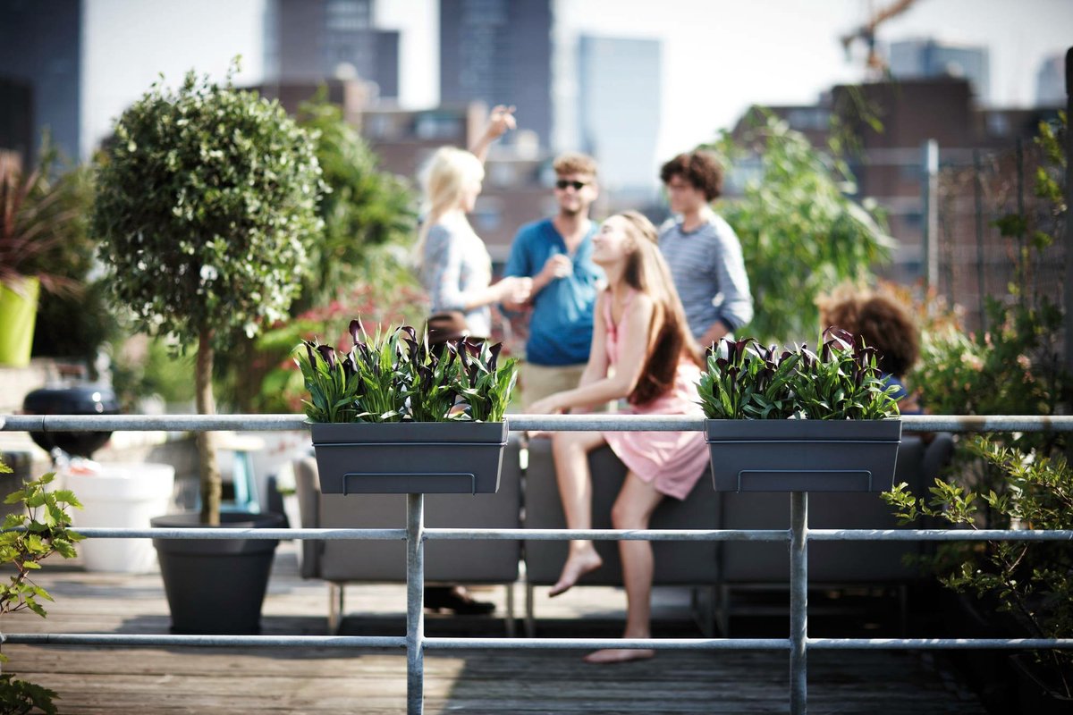 Elho Loft Urban Balcony Planter Allin1 50 - For Outdoor Balcony