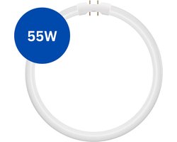 TL5 Cirkel TL-buis 55W – 865 Koel Wit – 2GX13 (4-pins) Ø 30cm – Vervangt Philips/Osram - 6500K
