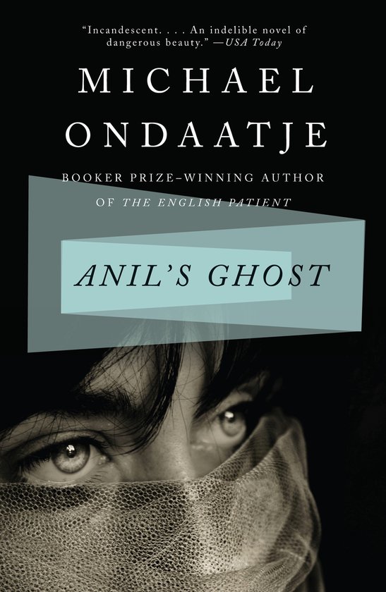 Anil's Ghost - cover