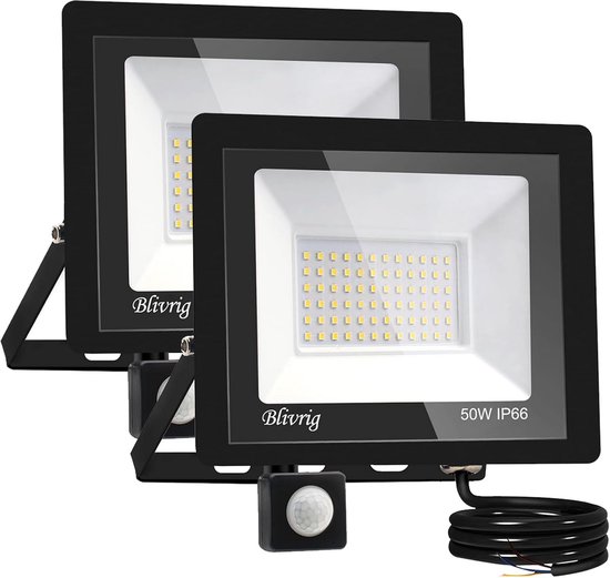 Willpower Led-buitenspot met stopcontact, led-spot, 50 W, 5000 lm, 6000 K, koudwit, IP66, waterdicht, veiligheidsverlichting voor tuin, terras, garage, terras, huis
