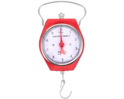 Draagbare Metalen Weegschaal 10 kg met Haken voor Vissen en Reizen