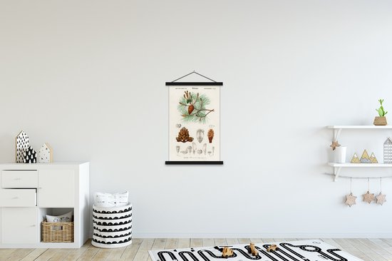 Affiche botanique vintage de branches de pin et graines dans une suspension noire, accrochée dans une chambre d'enfant.