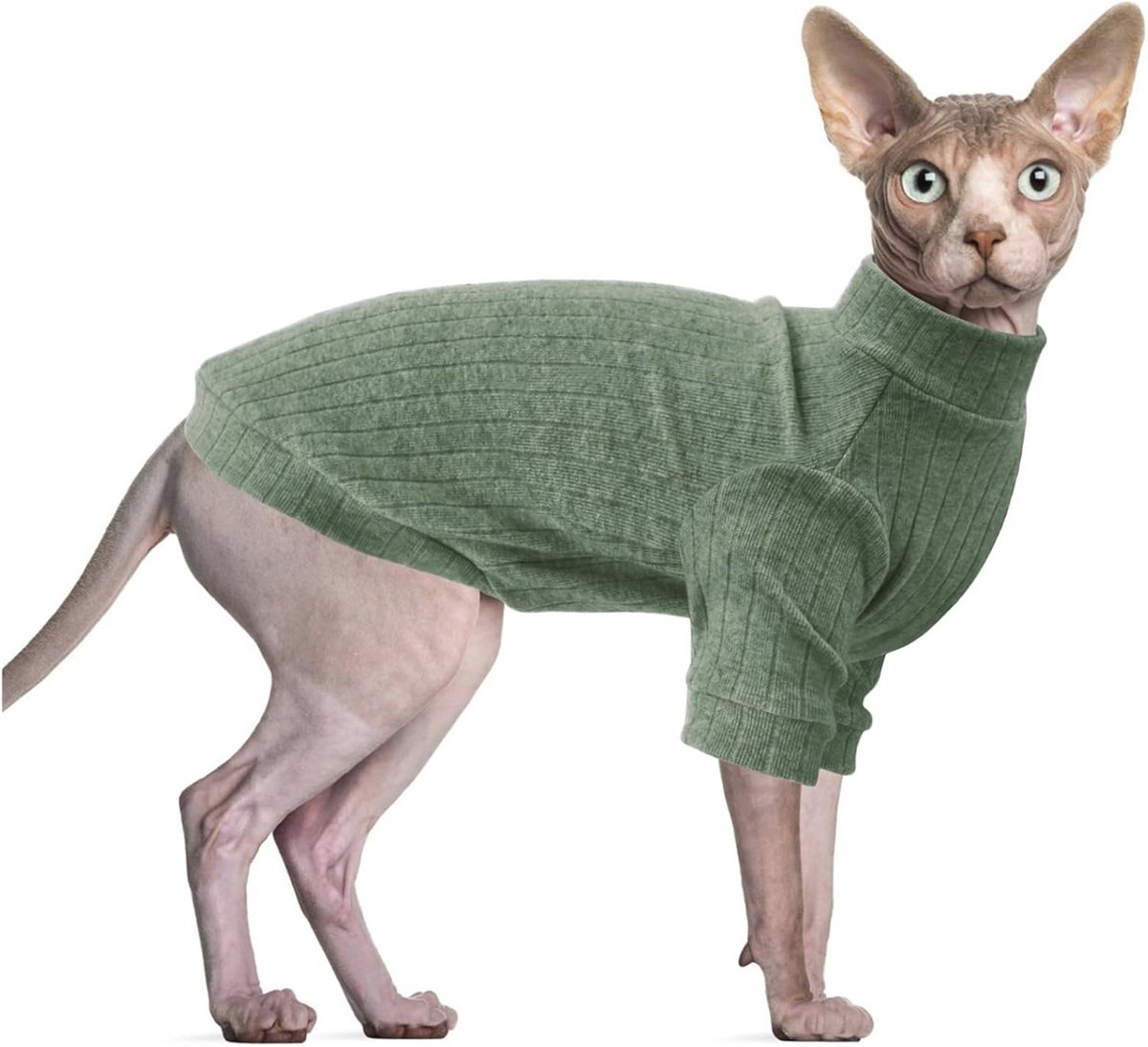 Haarloos kattenvest met rolkraag, lange mouwen en medium dikte