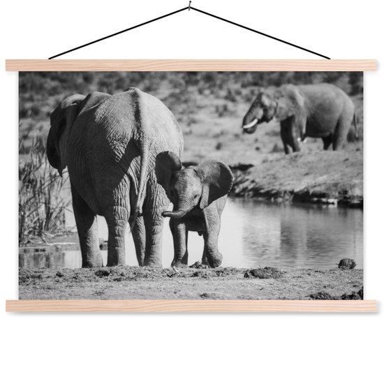 Affiche textielposter Elephant Calf by the Water (noir / blanc) lattes vierge 150x100 cm