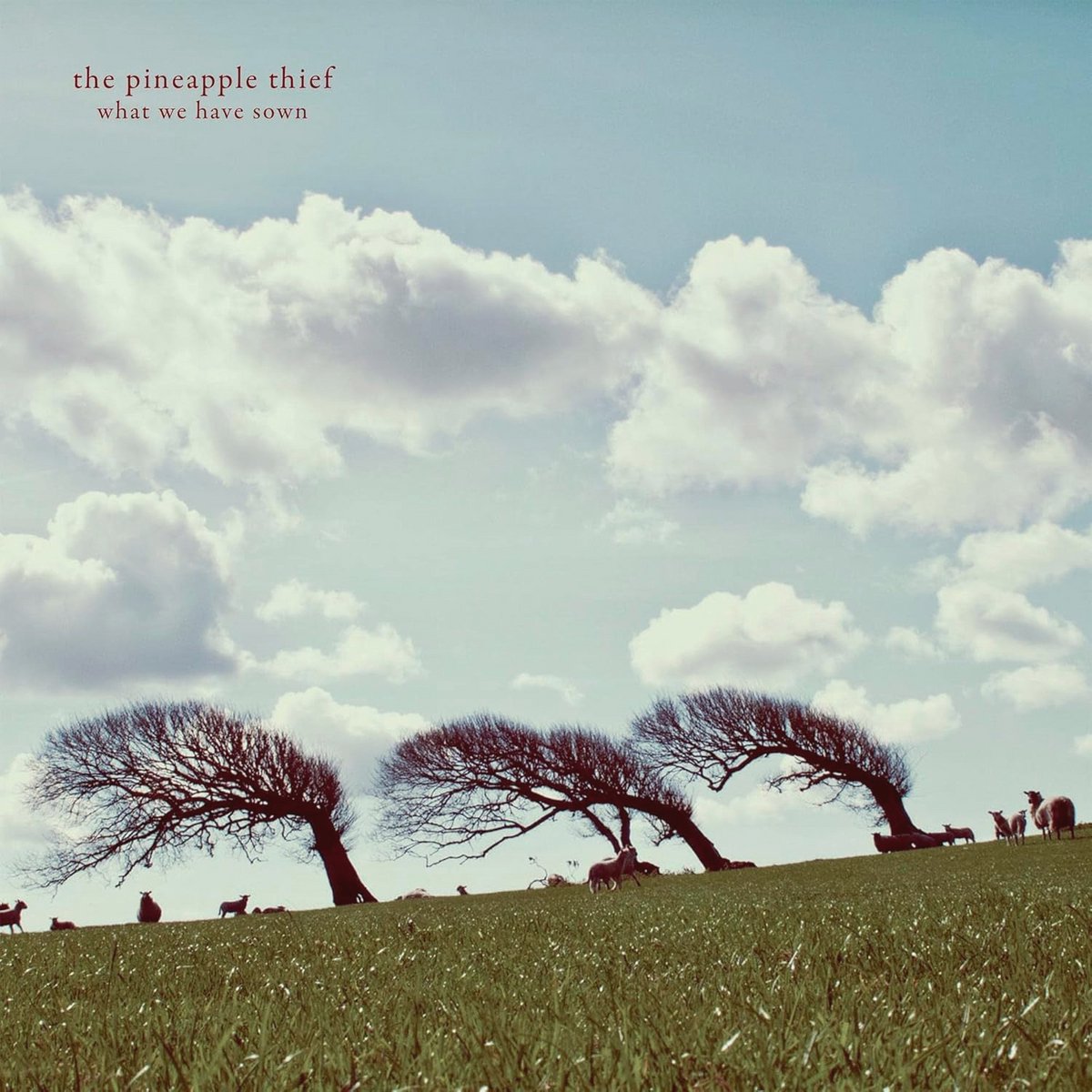 Remastered Vinyl Album van Pijnlijke en Melancholische Alternatieve Rock
