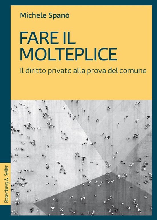 Diritto al presente - Fare il molteplice - cover