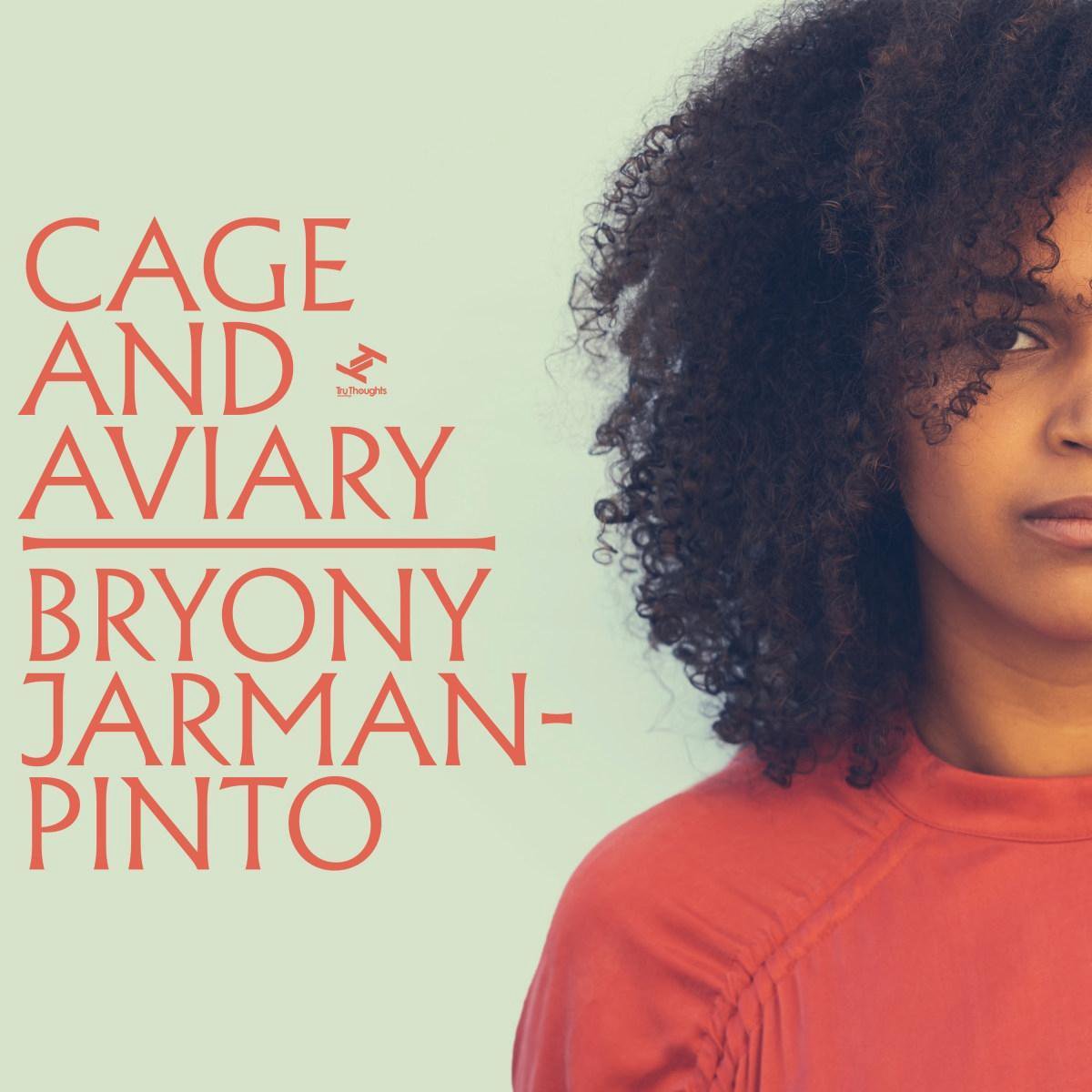 Bryony Jarman-Pinto - Cage And Aviary