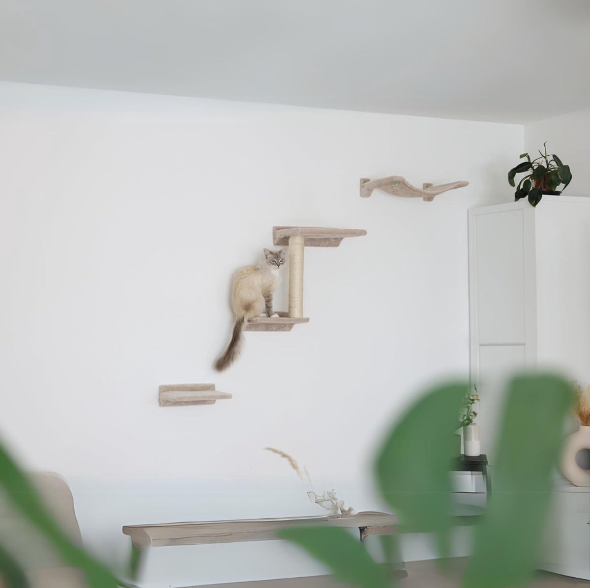 Quvo® Katten Klimmuur – Katten Klim Wand 5 delige Set – Wandmeubel Kat Inclusief Muurbevestiging – Katten Krabpaal - Beige - 45cm x 34cm x 20cm