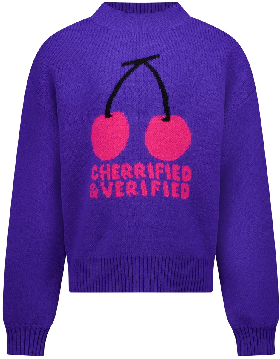 Cars Jeans Sweater Nyca jr. -