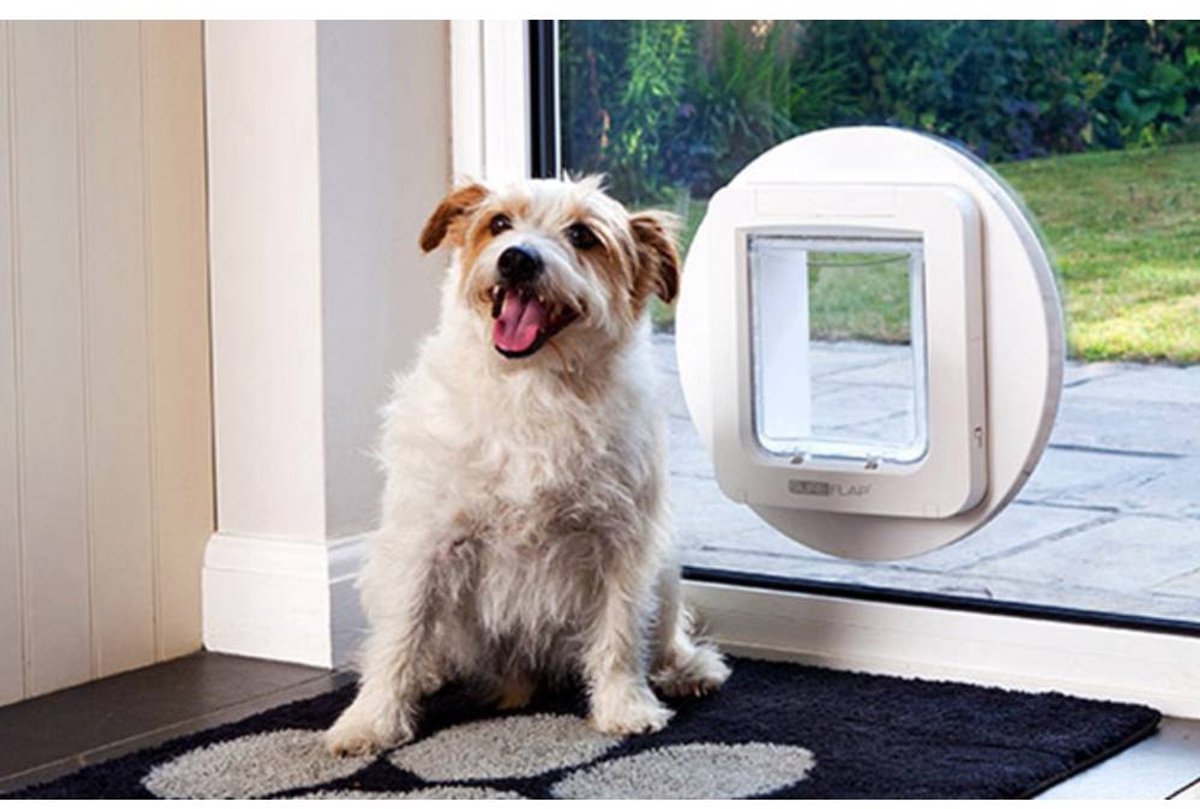SureFlap Smart Kattenluik L thumbnail 4