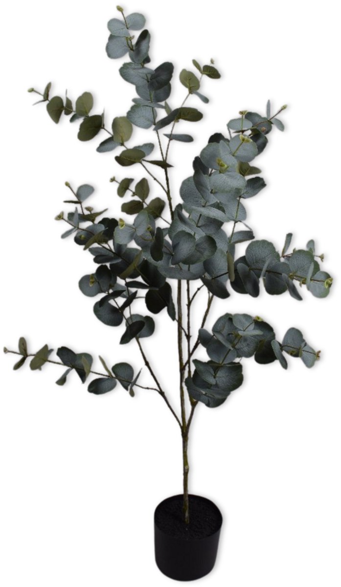 Silk-ka Kunstplant voor Binnen Eucalyptus Groen 121 cm
