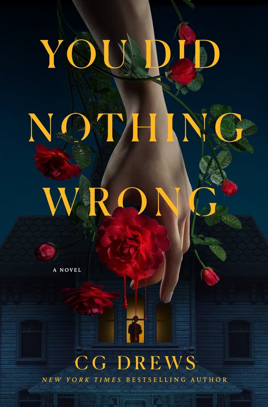 You Did Nothing Wrong - cover
