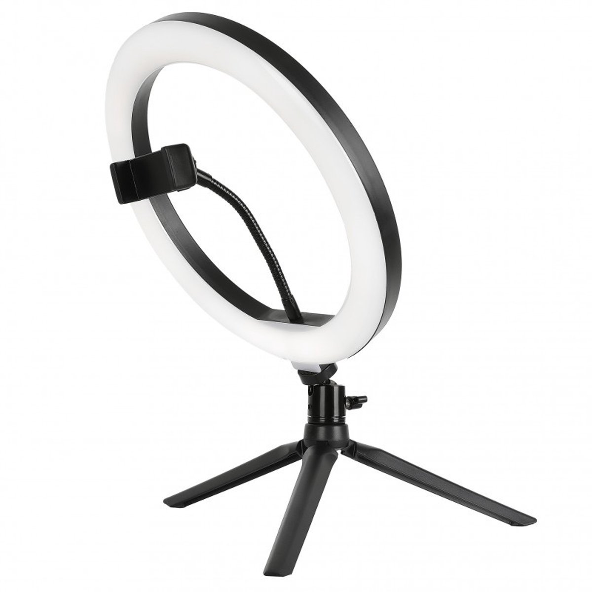 STARBLITZ SRING 10'' Leuchtring-Set 25cm