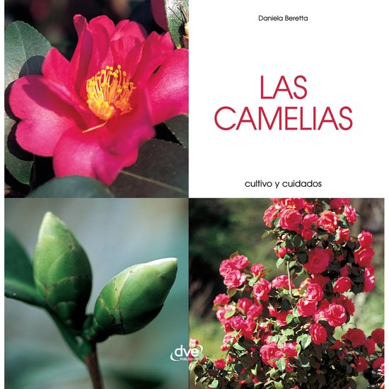 Las camelias - Cultivo y cuidados - cover