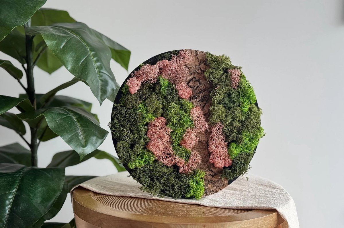 DIY Pakket Mos Schilderij Roze