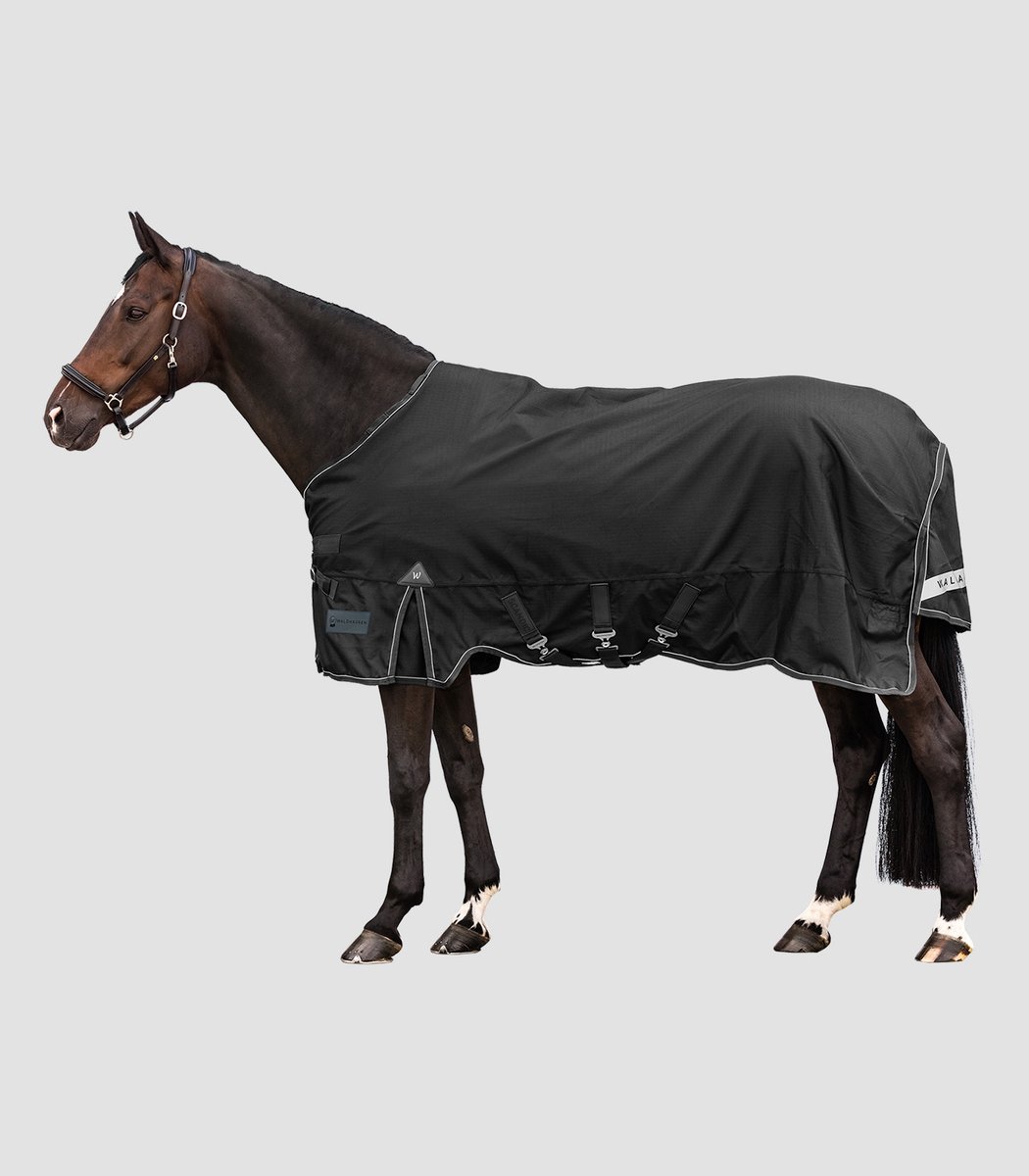 Winterdeken Scandic 200 G