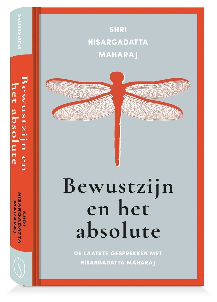 Omslag van Bewustzijn en het absolute