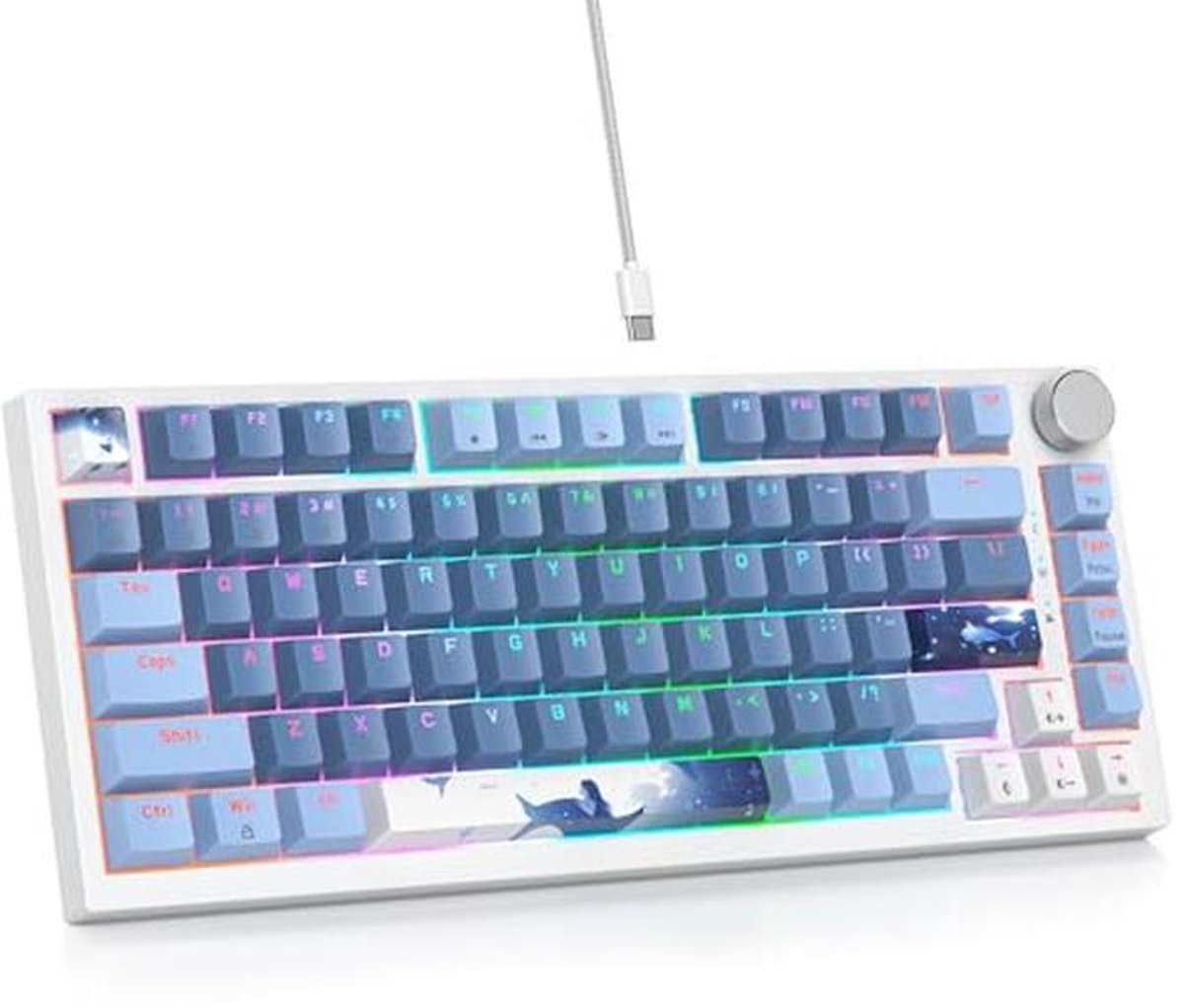 Compact mechanisch toetsenbord met RGB-achtergrondverlichting en programmaknoppen