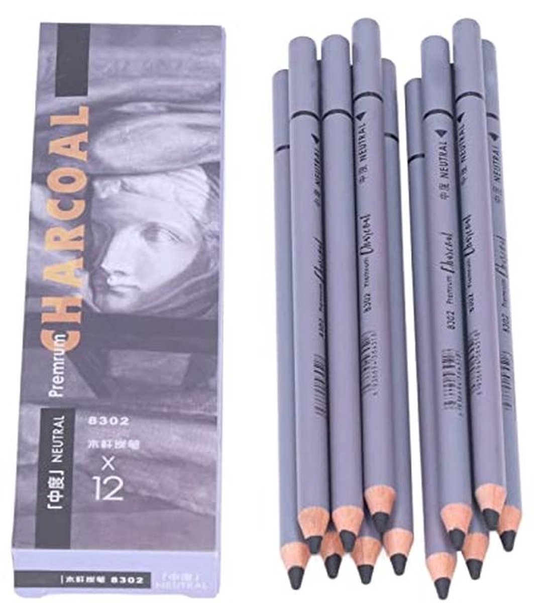 Houtskool Potloden Set van 12 - Perfect voor Beginners en Professionals