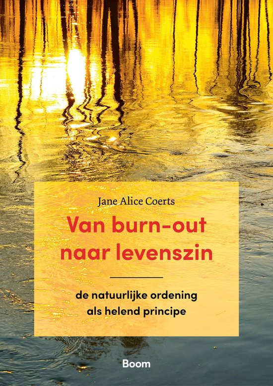 Van burn-out naar levenszin - cover