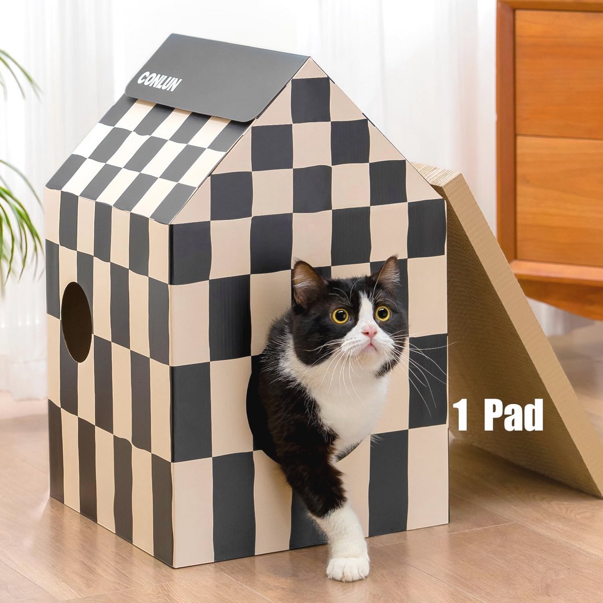 Kattenhuis en Krabblok - Comfortabel en Speelrijk Voor Uw Kat