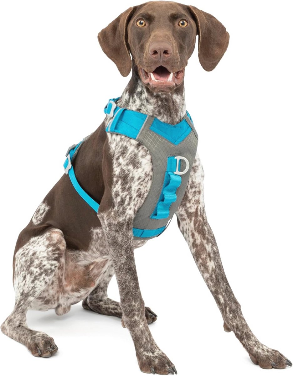 Hondenharnas voor Actieve Honden - Comfortabel Wandelharnas voor Joggen, Reflecterend en Ademend