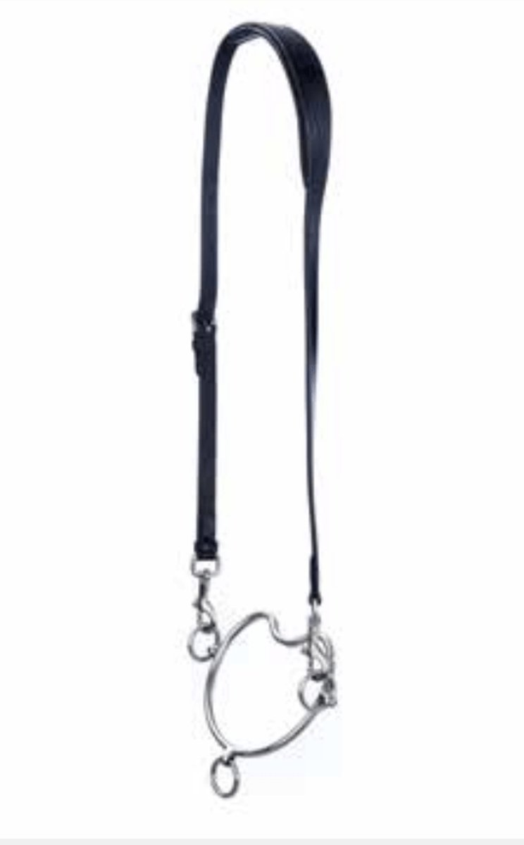 EQUI LOOK Kopriem voor hengstenbit Full Kleurloos