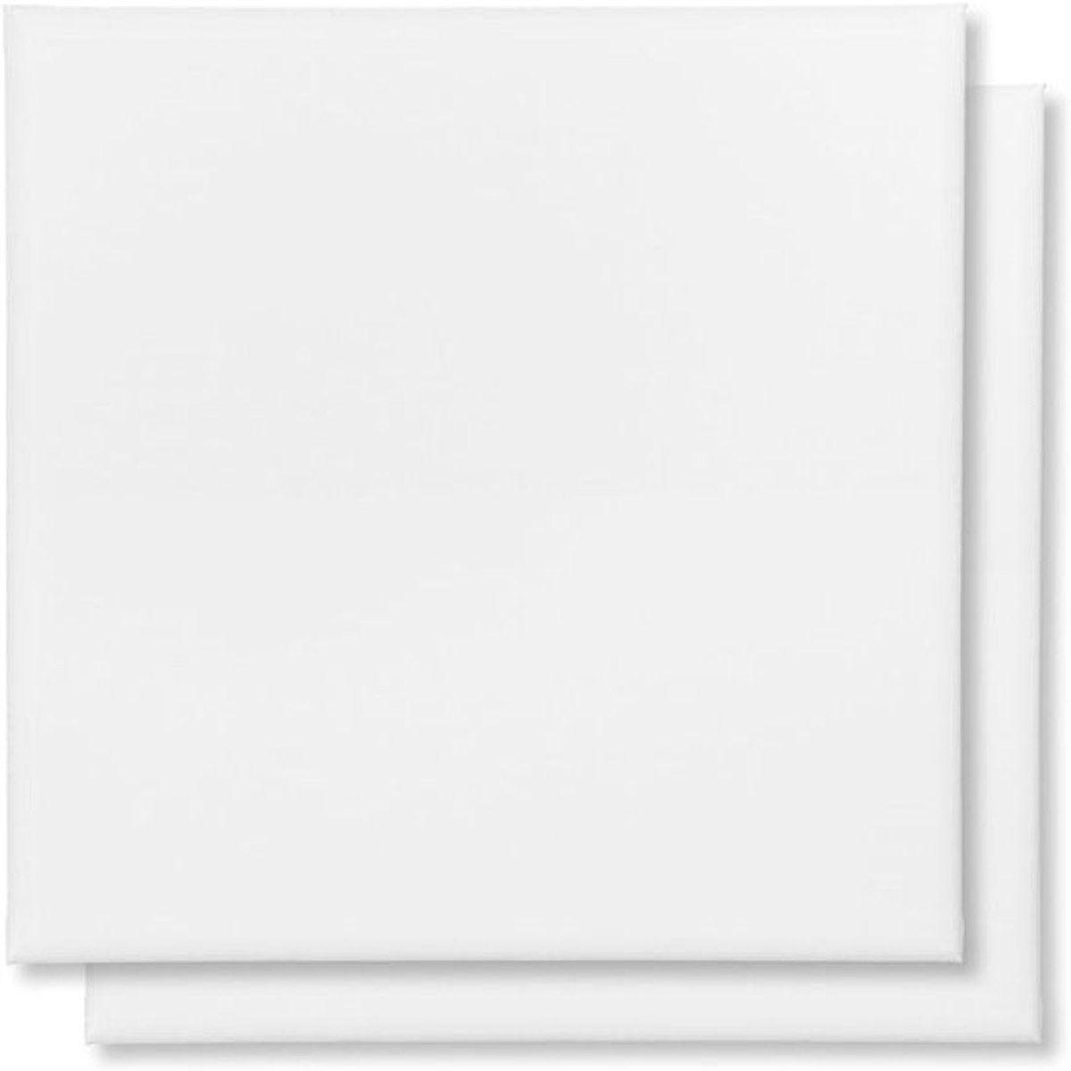 Stunq® Professionele Canvas Spanramen Set - 2 Stuks, 40x40cm - Voor Schilders en Kunstenaars