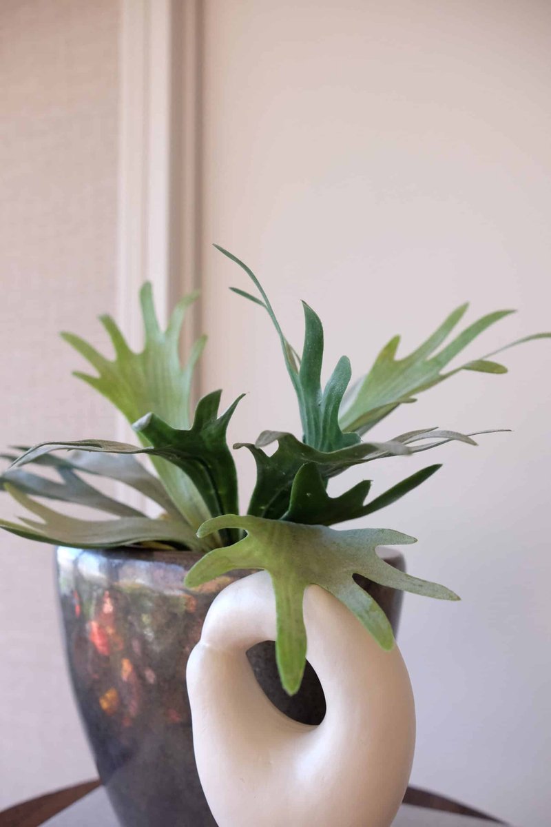 Emerald Staghorn (hertshoorn) kunstplant 32cm Groen