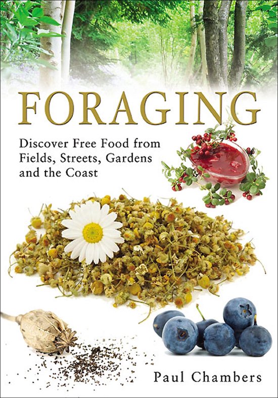 Foraging - cover