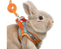 Verstelbare konijnentuigjes en riemset met dubbele gespen en reflecterende strepen. Konijnenvestje geschikt voor wandelingen met je konijn (oranje/groen, maat S).