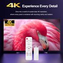 TV met een roze flamingo in 4K-resolutie, naast een witte afstandsbediening en TV stick.