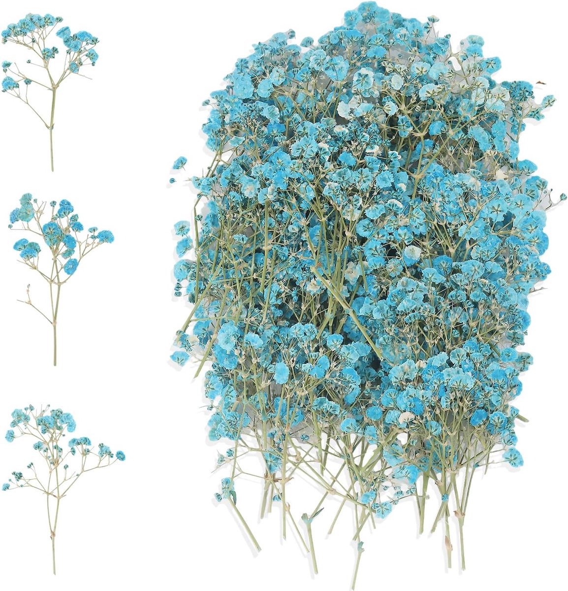 Stunq® Verpakking van 100 Gypsophila gedroogde bloemen, klein, natuurlijke gedroogde bloemen, gedroogde bloemen voor knutselwerkjes, geperste bloemen, gipskruidbloemen voor doe-het-zelfkaarsen, harssieraden (blauw)