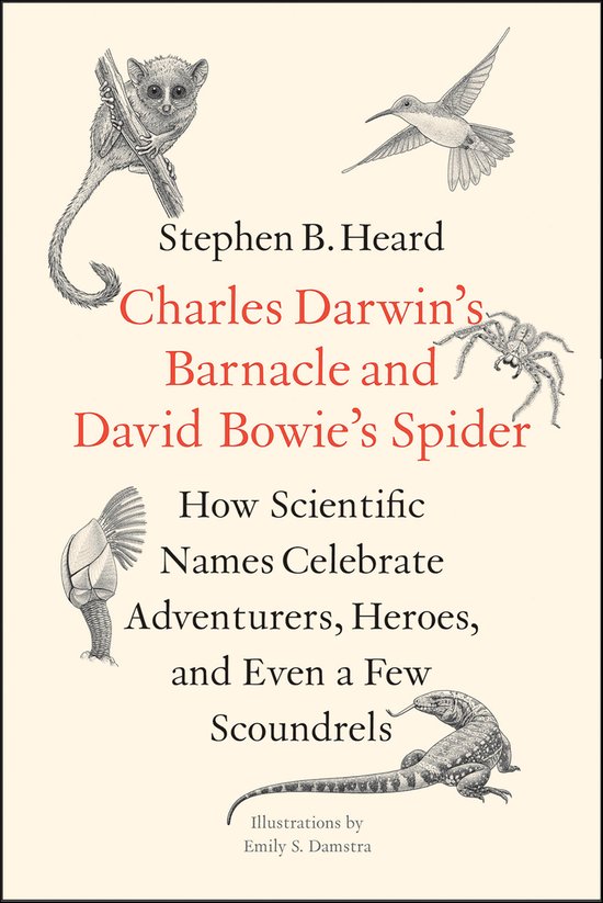 Charles Darwin's Barnacle and David Bowie's Spider - cover