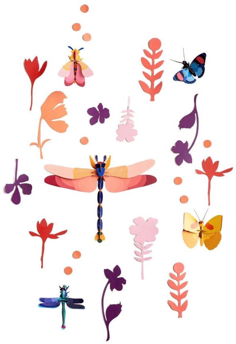 Wall of Curiosities - Insecten kenner