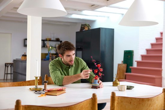 LEGO Icons Japanse abrikoos - Botanical Collection - 10369