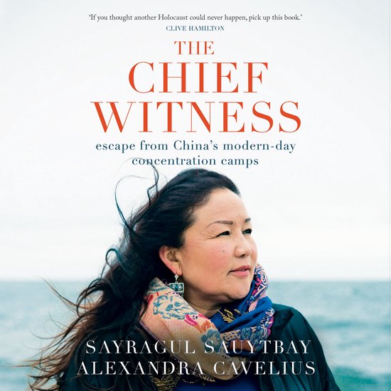 The Chief Witness - cover