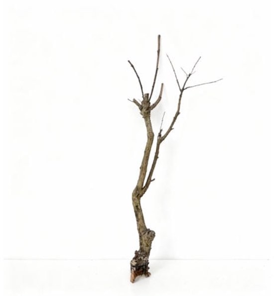 Hobby Terrarium Desert Cave | Woestijngrot voor aquarium en terrarium