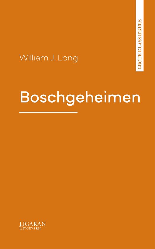 Boschgeheimen - cover