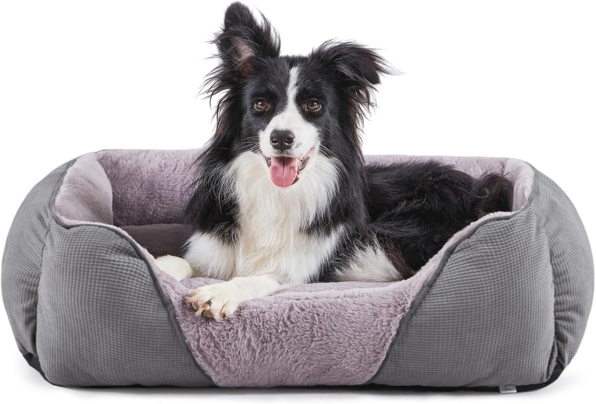 Medium Hondenbed voor Comfort en Ondersteuning
