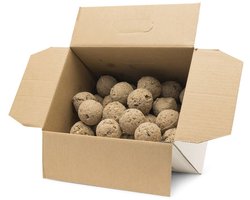Gifts4Nature 50st Vetbollen voor Vogels - Mezenbollen zonder Net - 80 gram per bol - Vogelvoer Buitenvogels - Energierijk Tuinvogelvoer - Grootverpakking