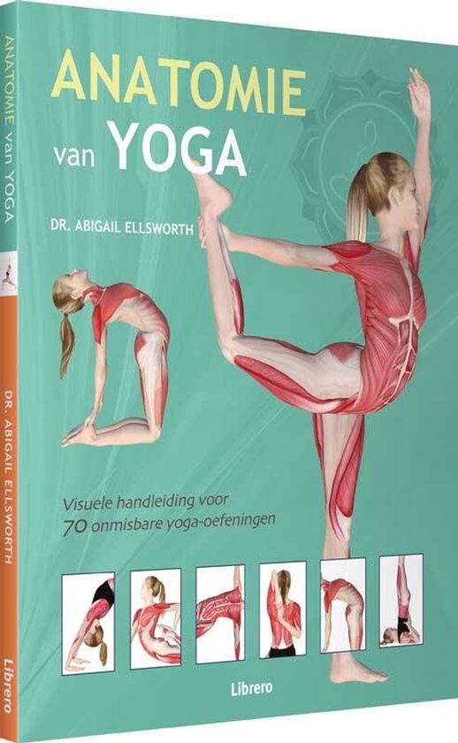 Anatomie van Yoga - cover