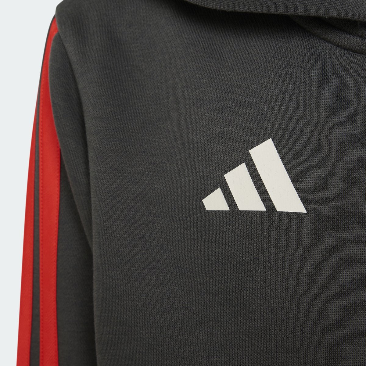 Adidas Performance Audi Revolut F1 Team Dna Hoodie Met Lange Ritssluiting Kinderen Zwart