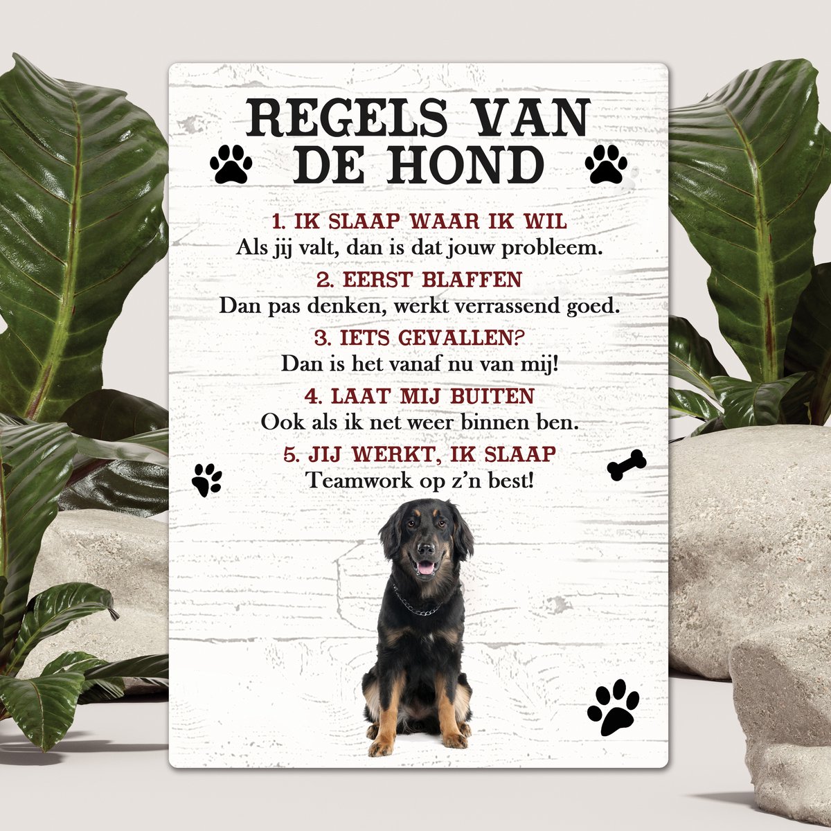 Spreuken - Hovawart - Regels Van De Hond - Spreuken Bordjes - Spreukenbord - Tekstborden - Cadeau - Hondenras