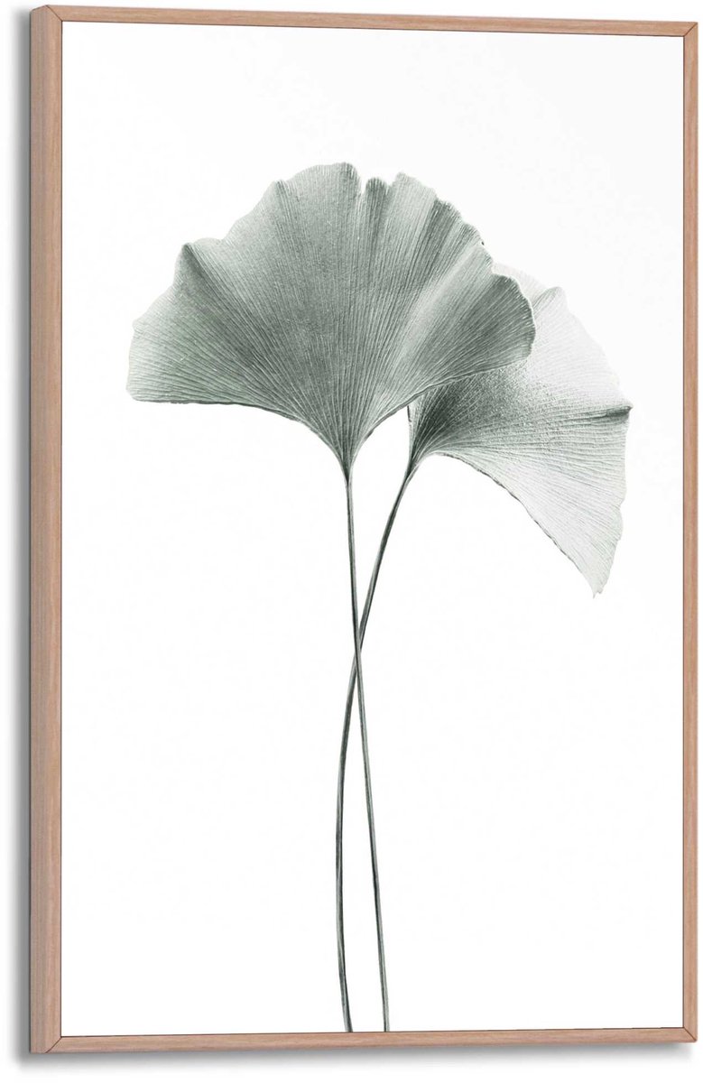 REINDERS Schilderij Ginkgo Blad - 30 x 20 - Hout - REINDERS groen Hout